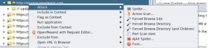Best Alternative Web Scanner to Burp Suite